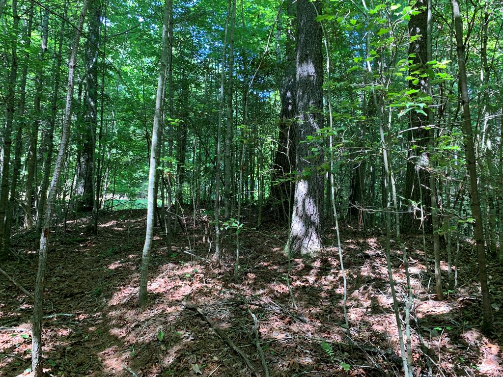 LOT 35 Maple Rest Trail
