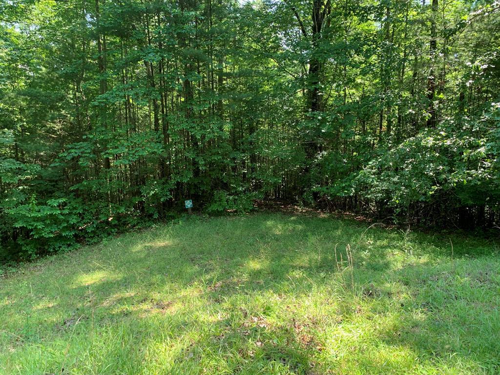 LOT 35 Maple Rest Trail