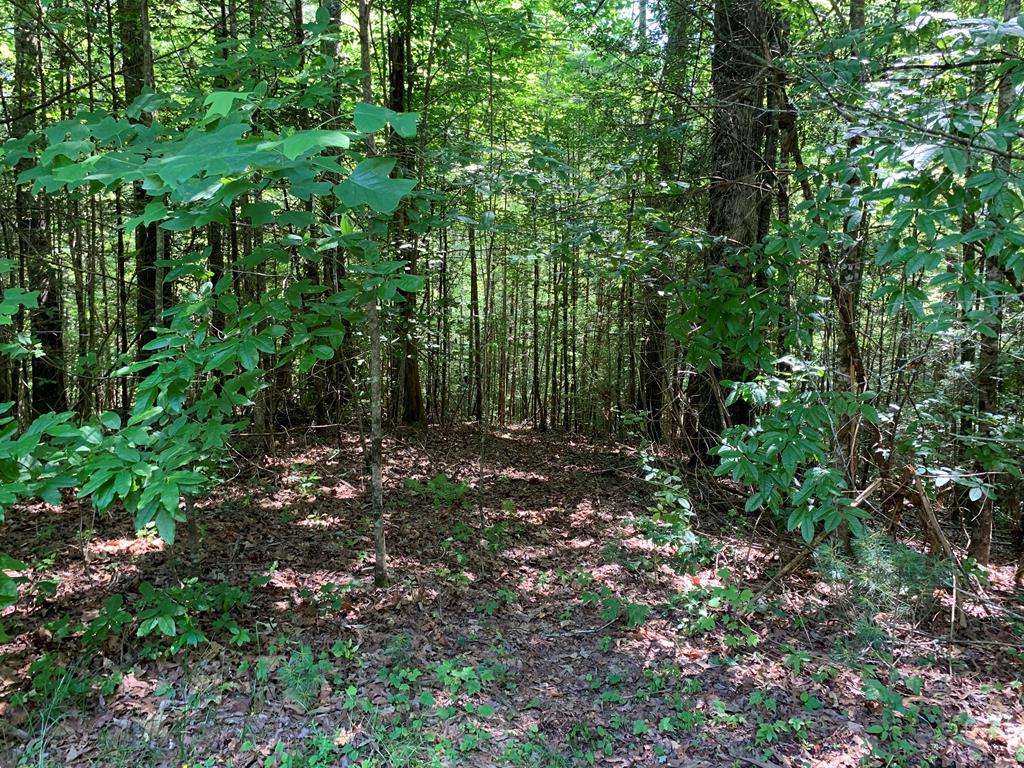 LOT 35 Maple Rest Trail