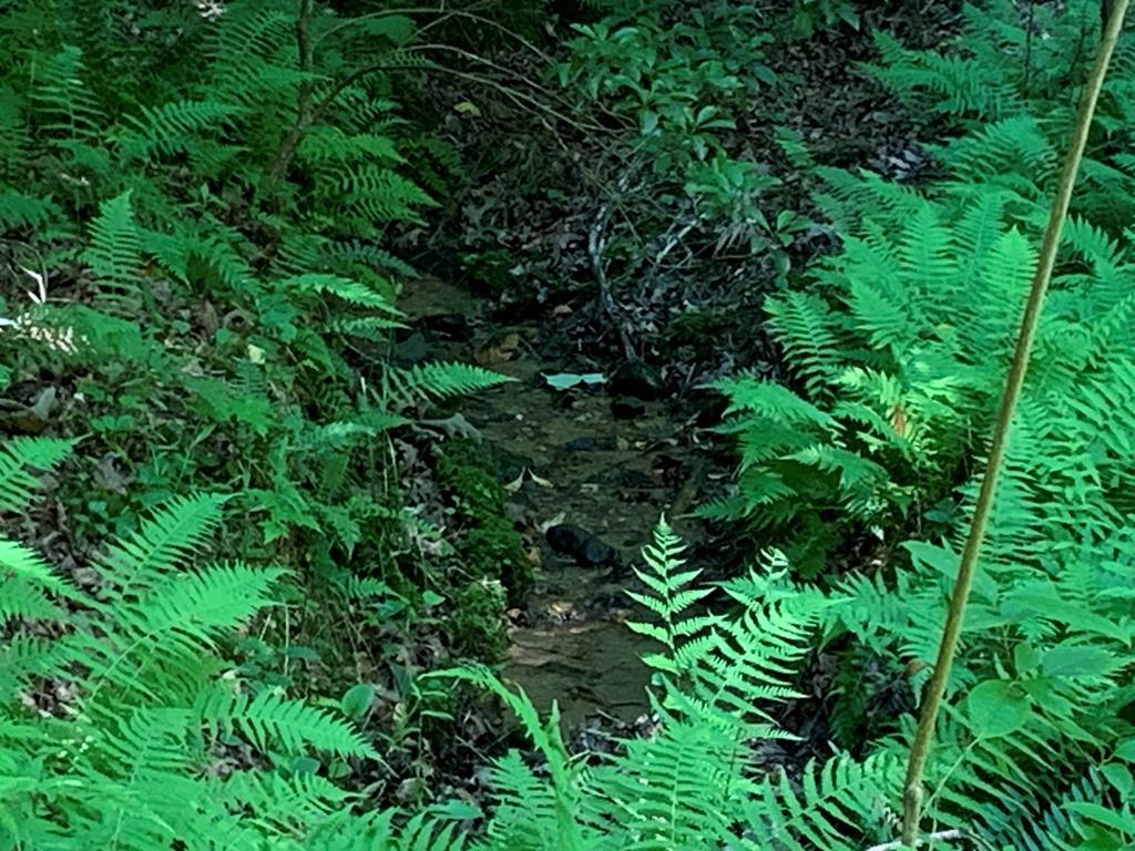 LOT 35 Maple Rest Trail