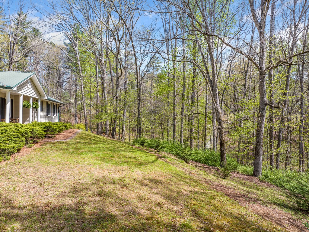 315 Sumner Lane