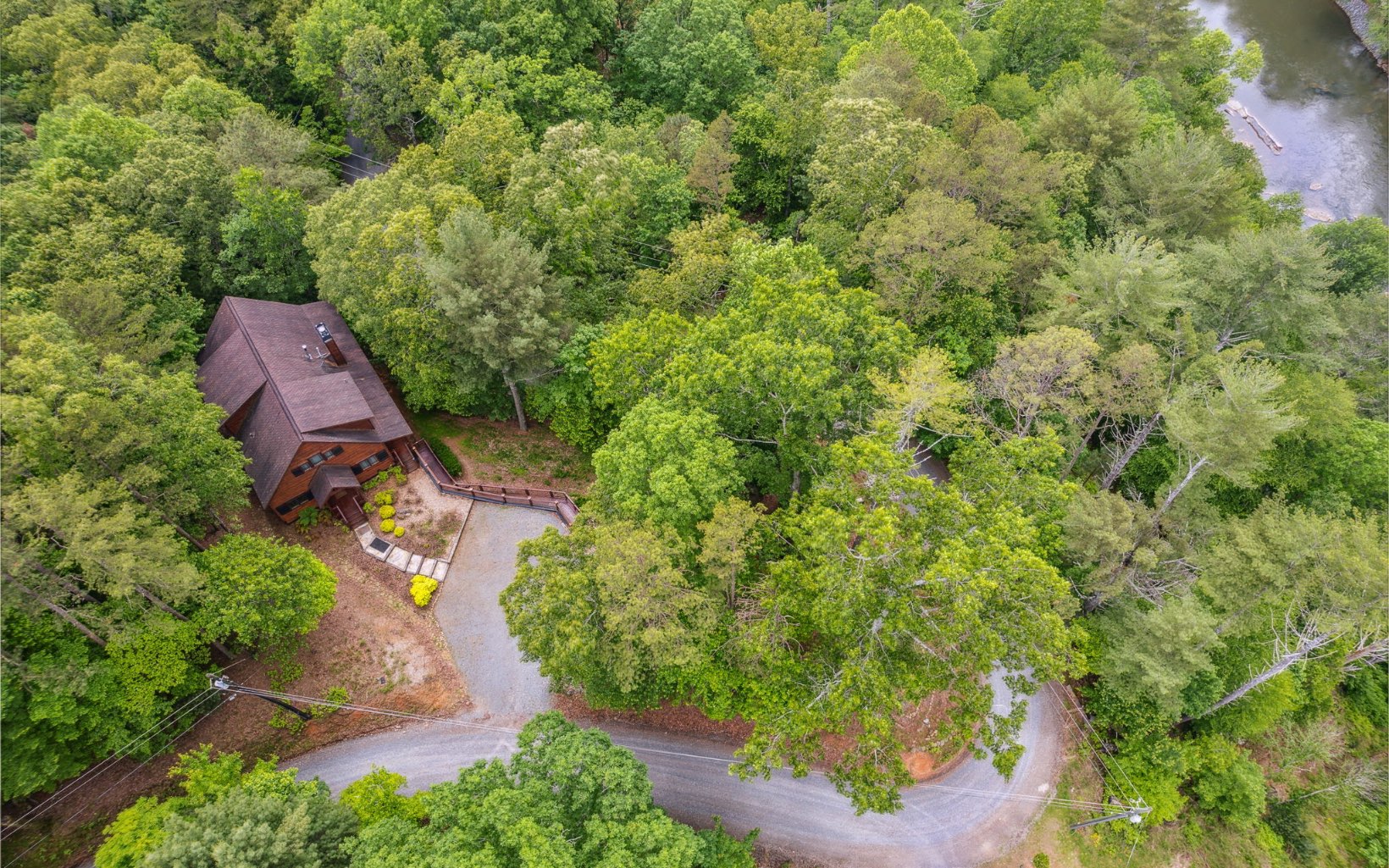 111 Dryad Court