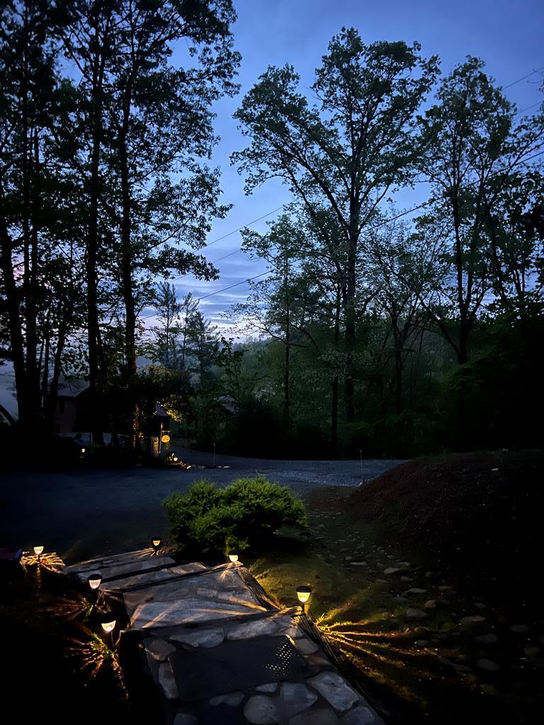111 Dryad Court