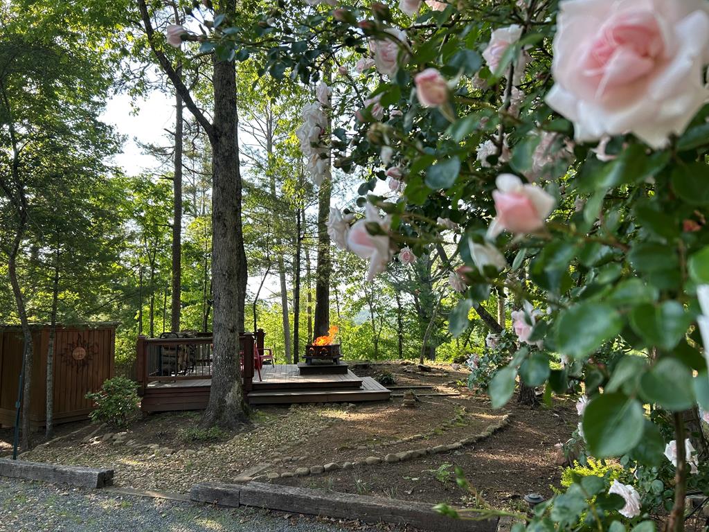 111 Dryad Court