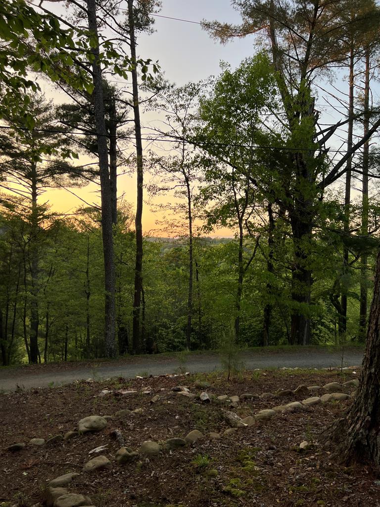 111 Dryad Court
