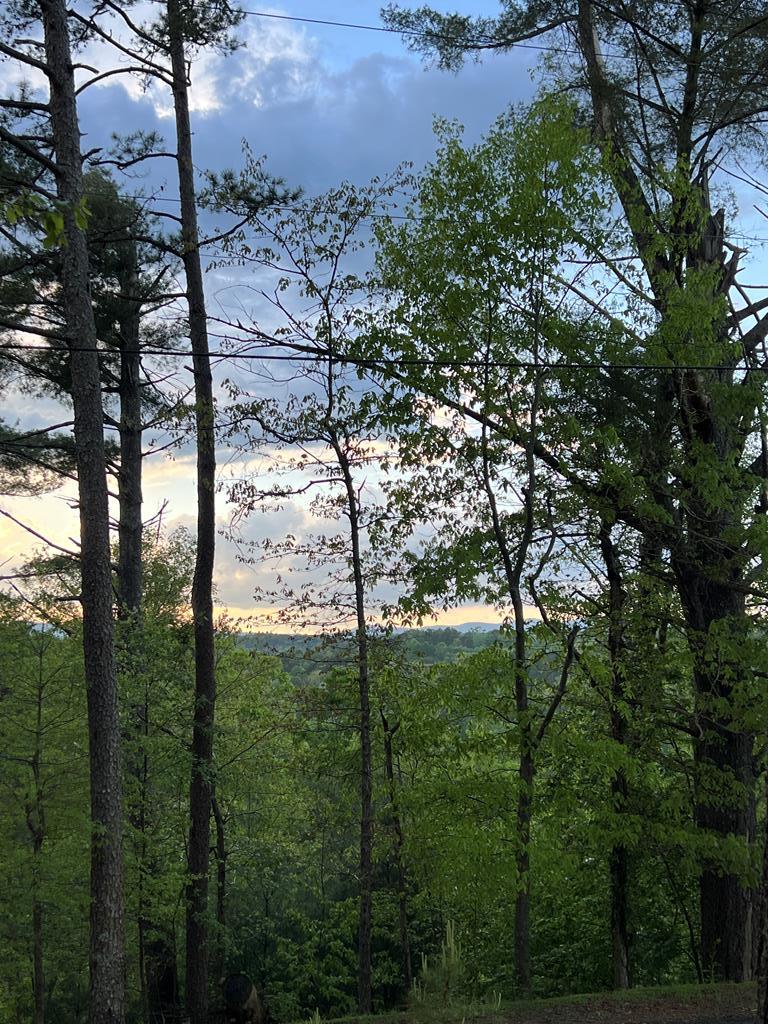 111 Dryad Court