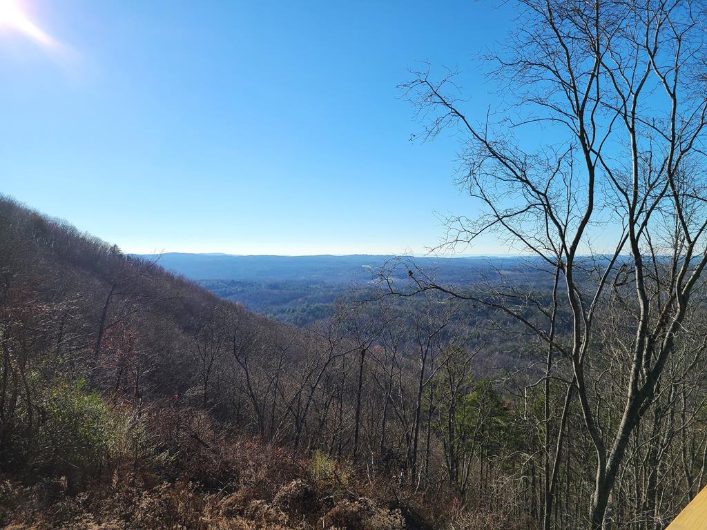 1324 Talona Mountain Road
