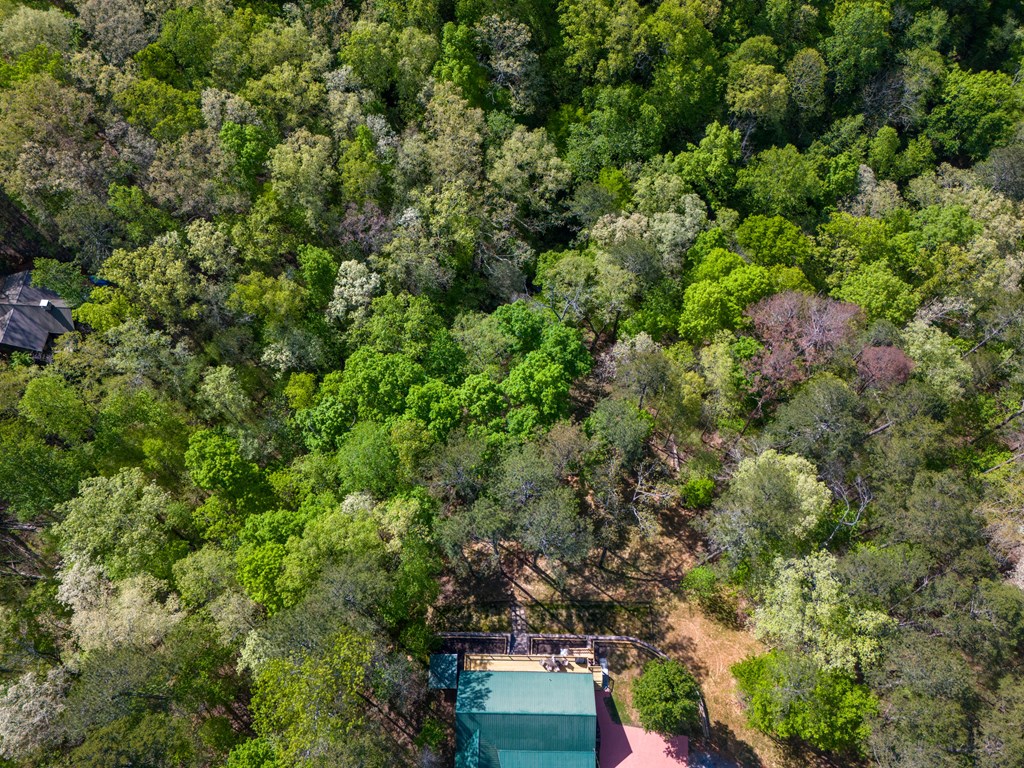 285 Julep Circle