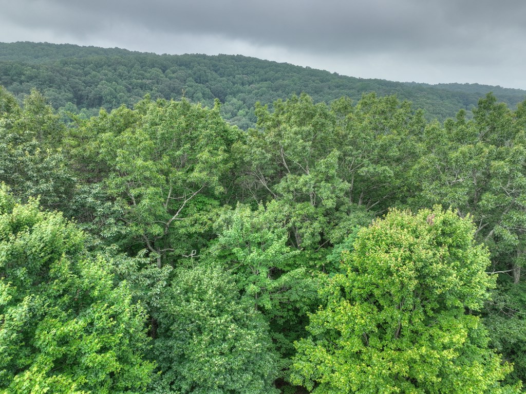 337 Northview Parkway