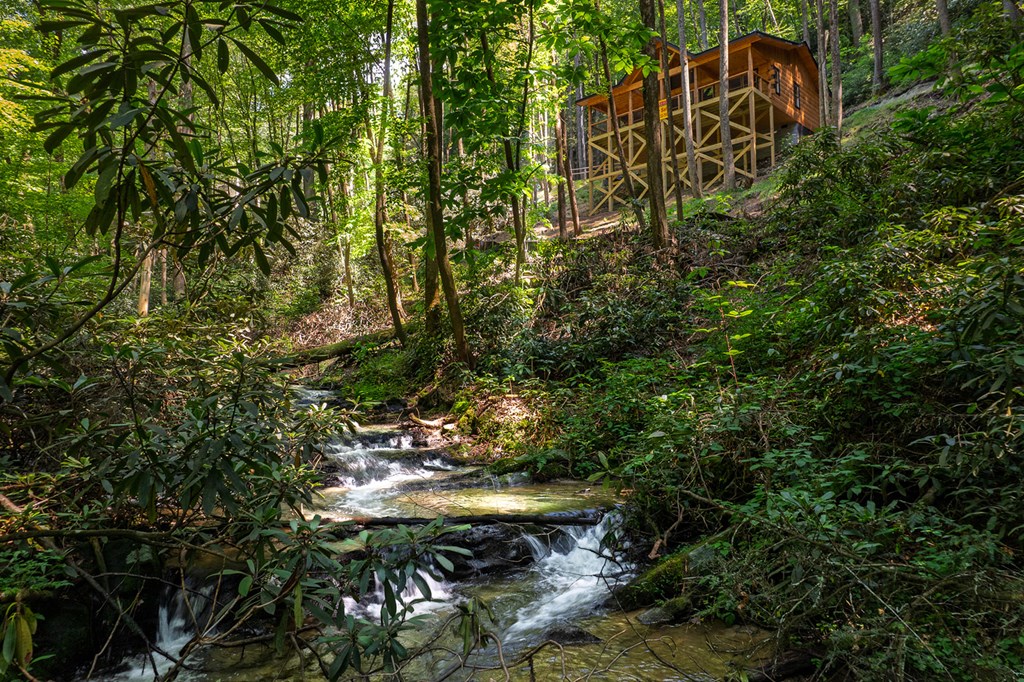 122 Laurel Creek Trail