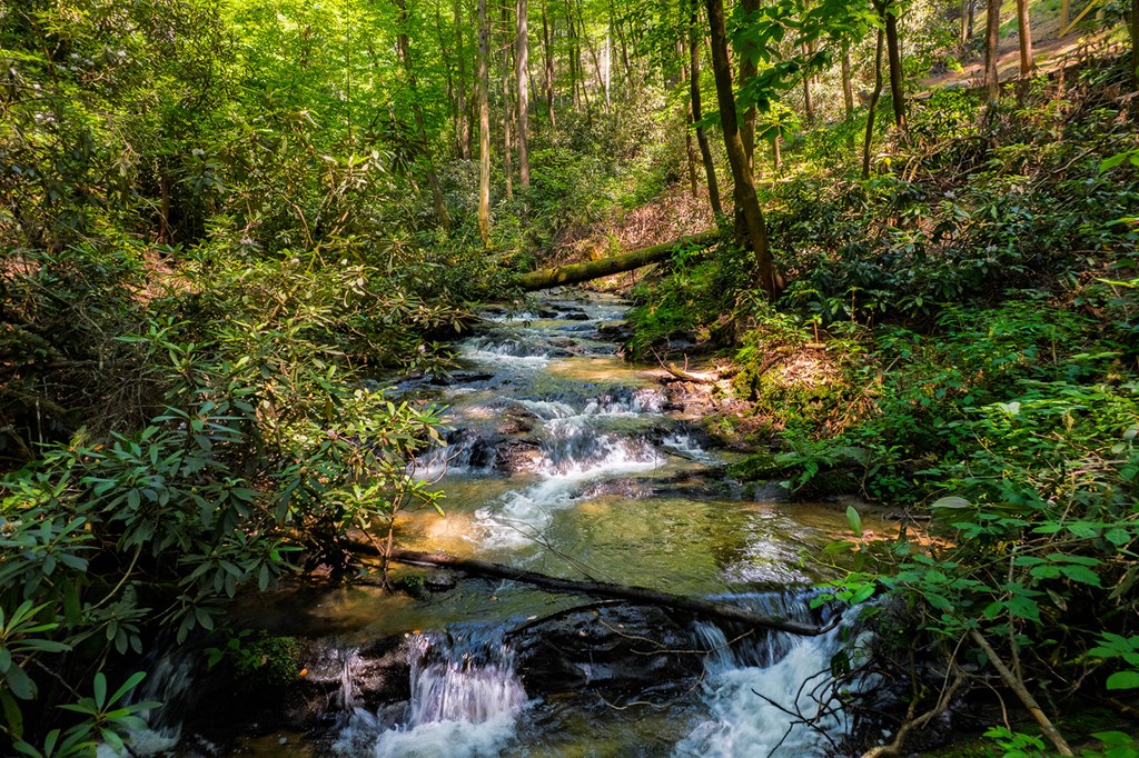 122 Laurel Creek Trail