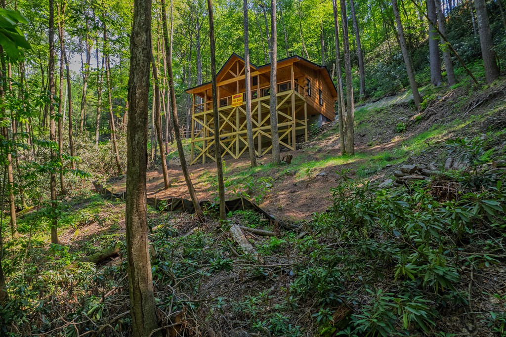 122 Laurel Creek Trail