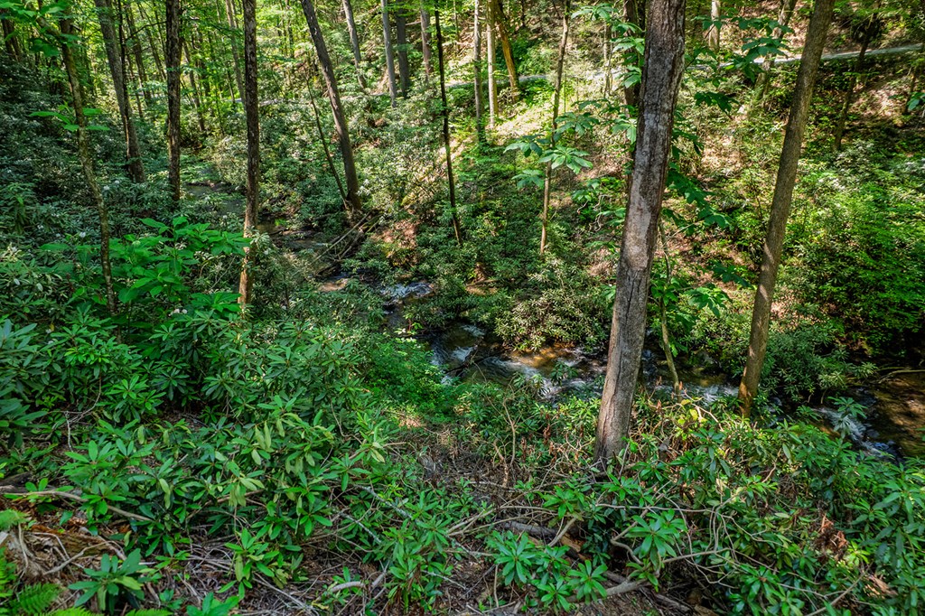 122 Laurel Creek Trail