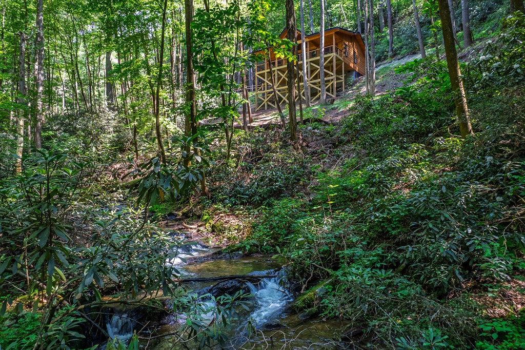 122 Laurel Creek Trail