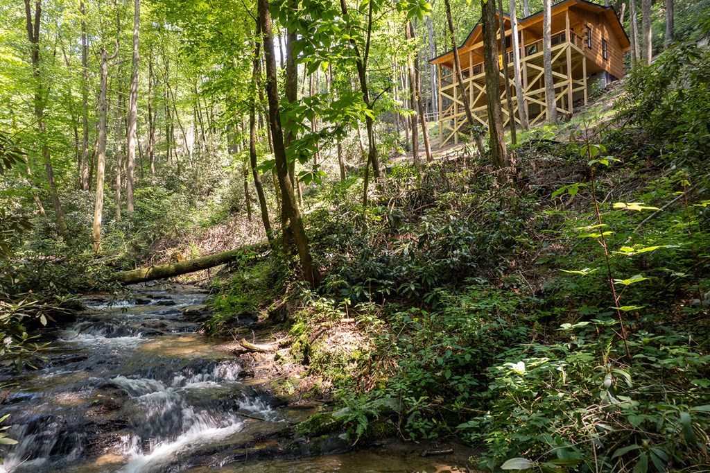 122 Laurel Creek Trail