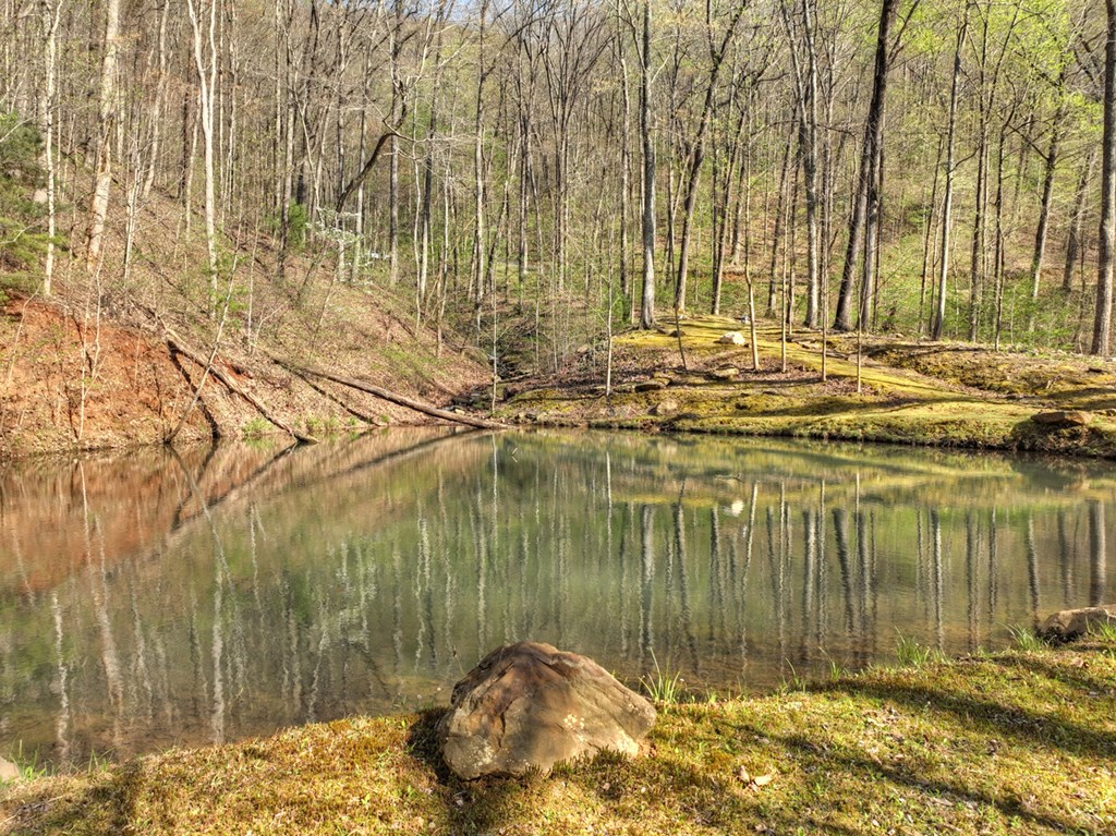 Lot 4 Wilderness Way