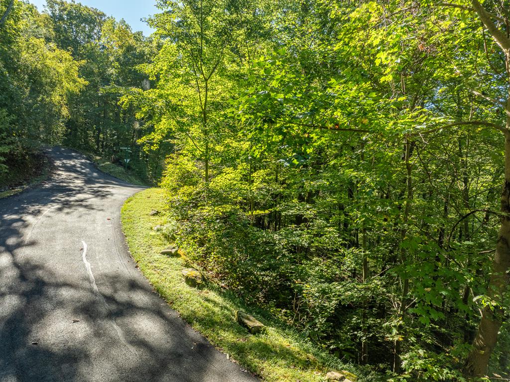 Lot 4 Wilderness Way