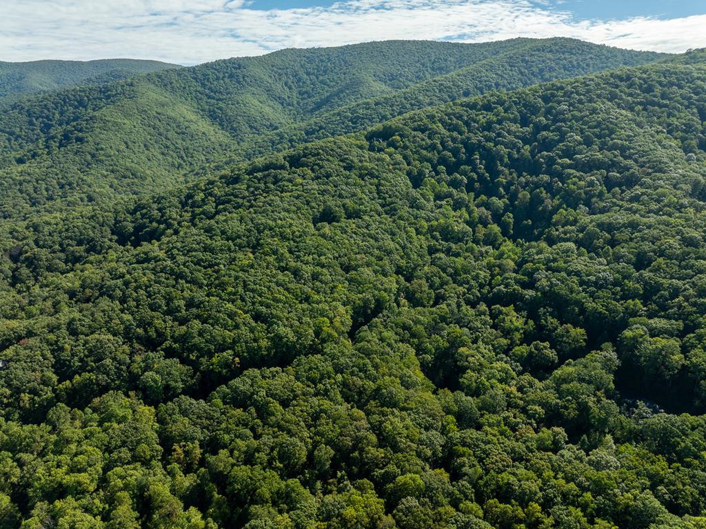 Lot 4 Wilderness Way