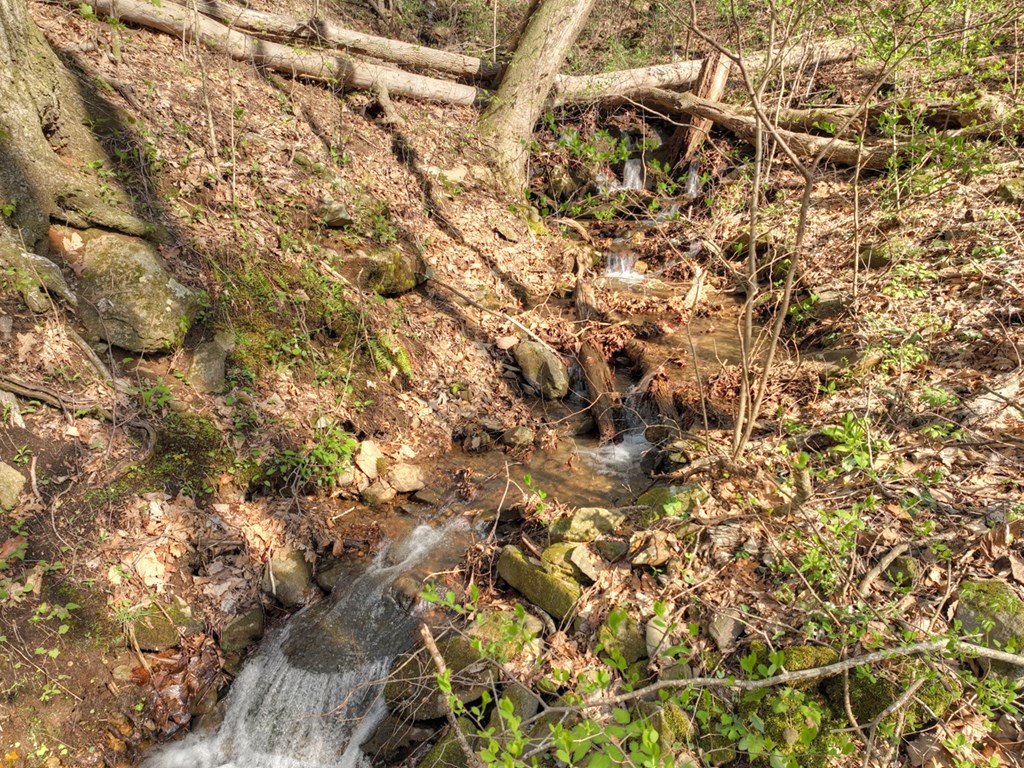 Lot 4 Wilderness Way