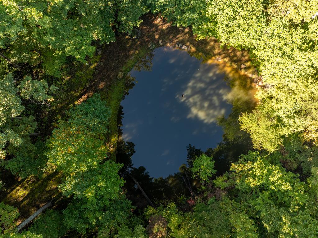 Lot 4 Wilderness Way