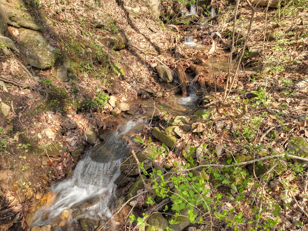 Lot 4 Wilderness Way