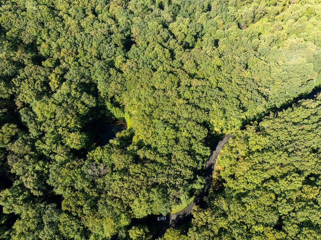 Lot 4 Wilderness Way