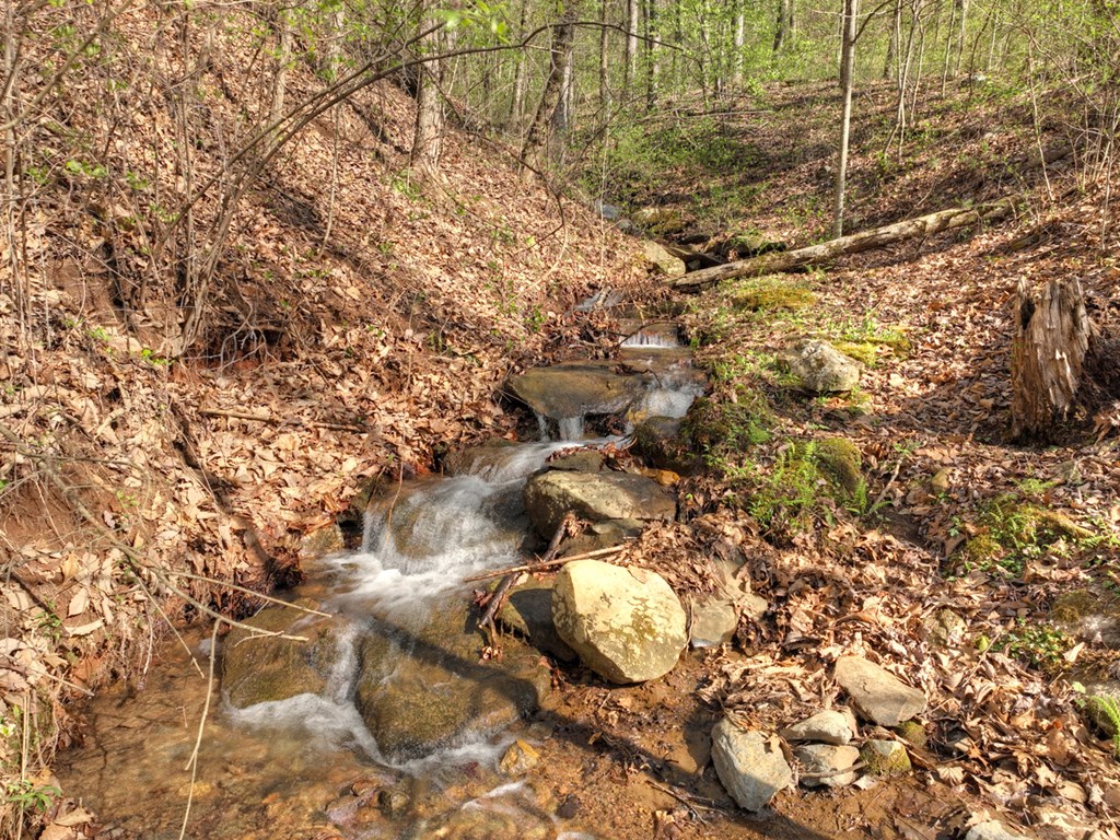 Lot 4 Wilderness Way