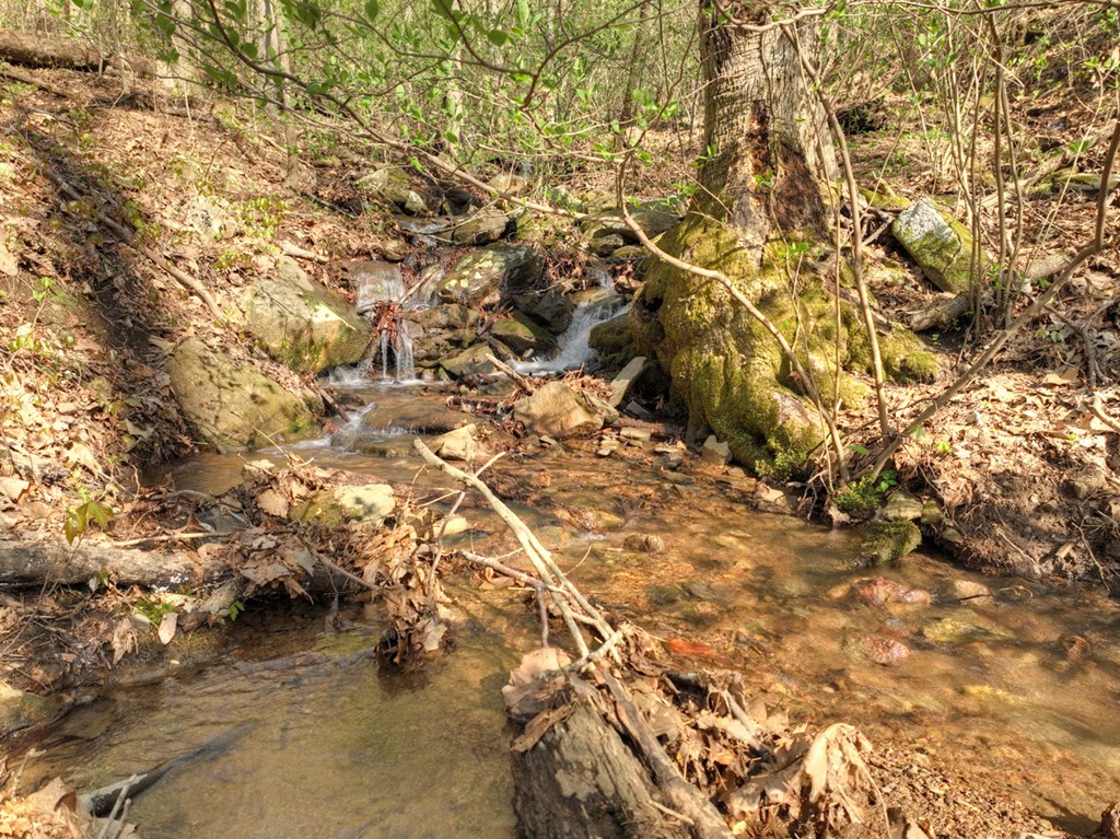 Lot 4 Wilderness Way