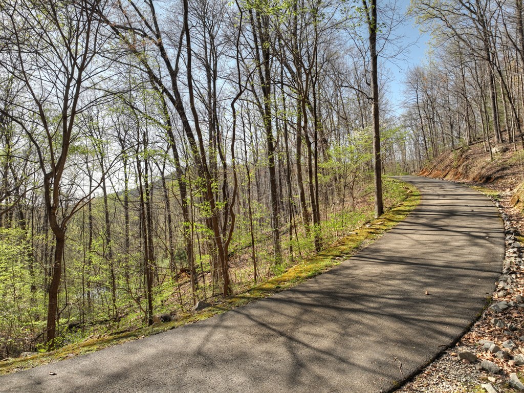 Lot 4 Wilderness Way