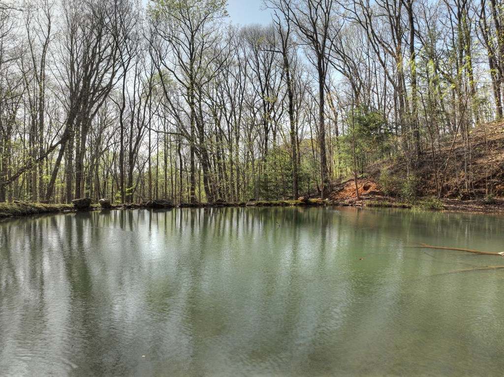 Lot 4 Wilderness Way