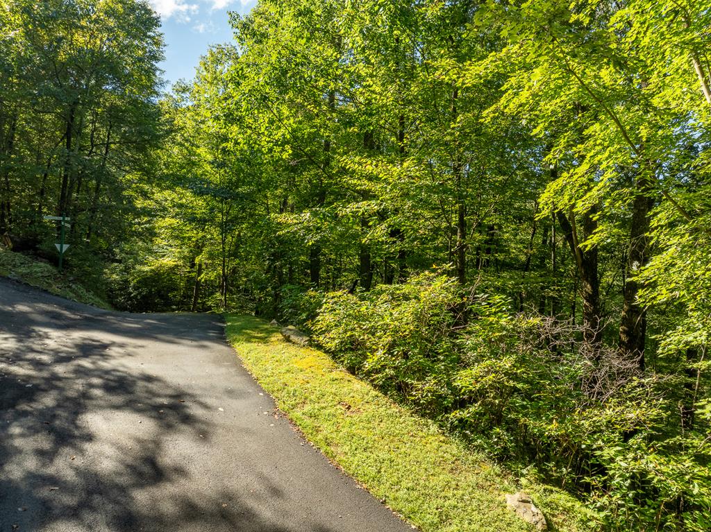 Lot 4 Wilderness Way