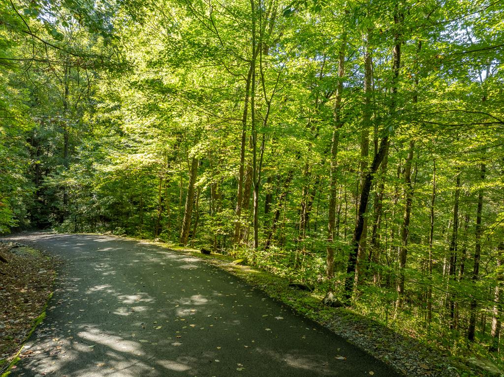 Lot 4 Wilderness Way