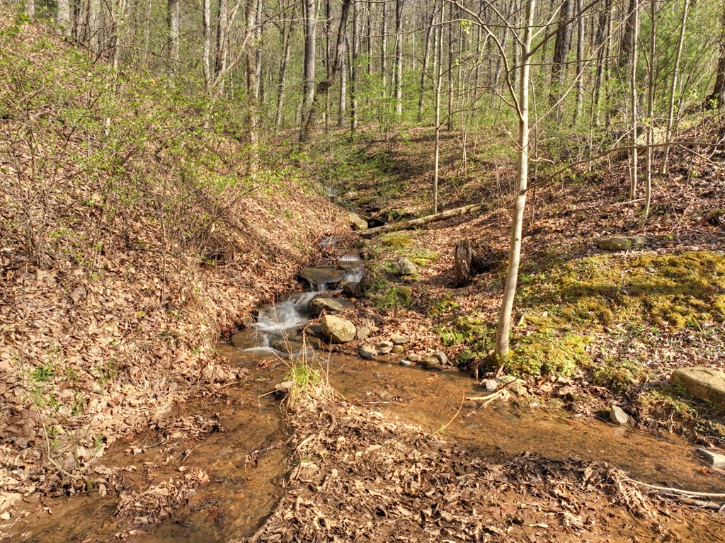 Lot 4 Wilderness Way