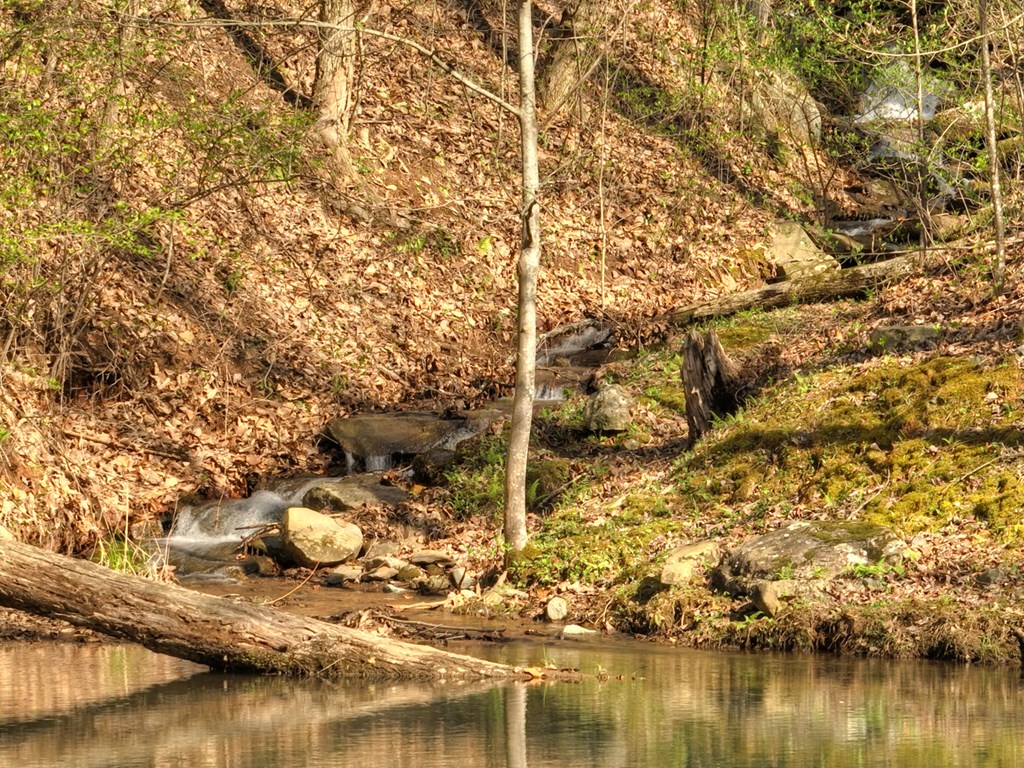 Lot 4 Wilderness Way