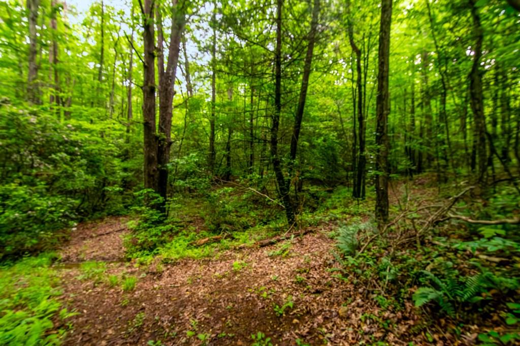 Lot 29 Mountain Spirit Way