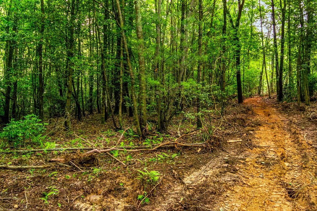 Lot 29 Mountain Spirit Way