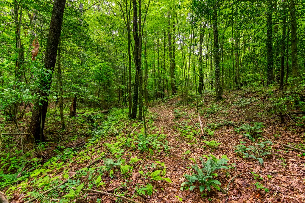 Lot 29 Mountain Spirit Way
