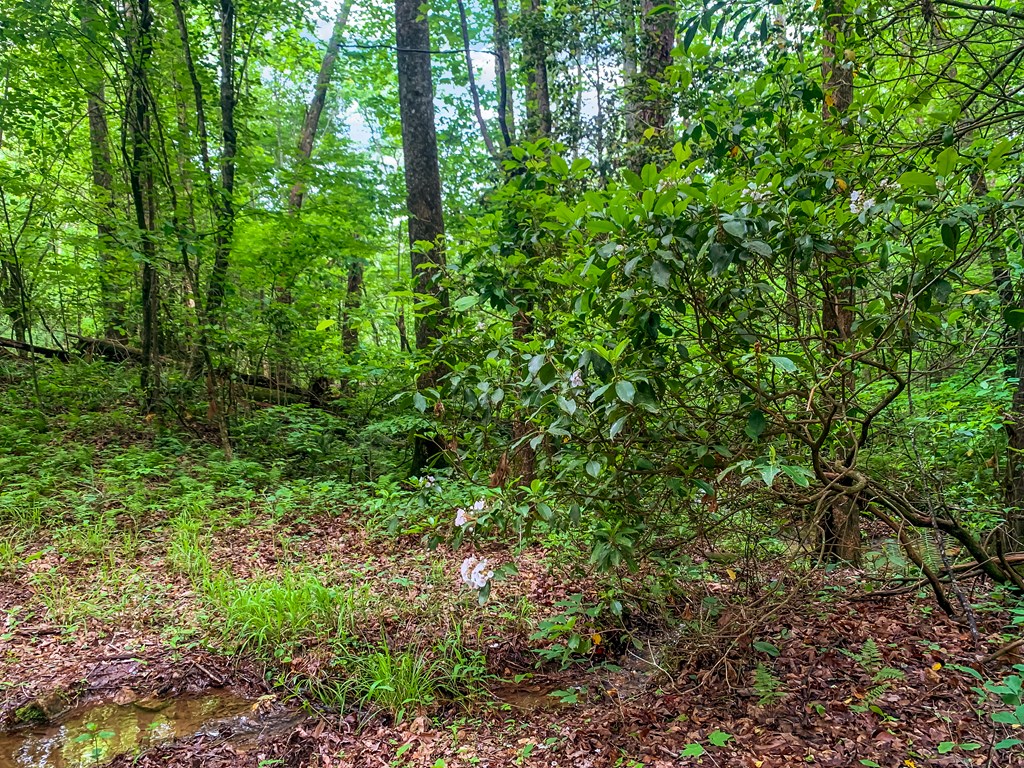 Lot 29 Mountain Spirit Way