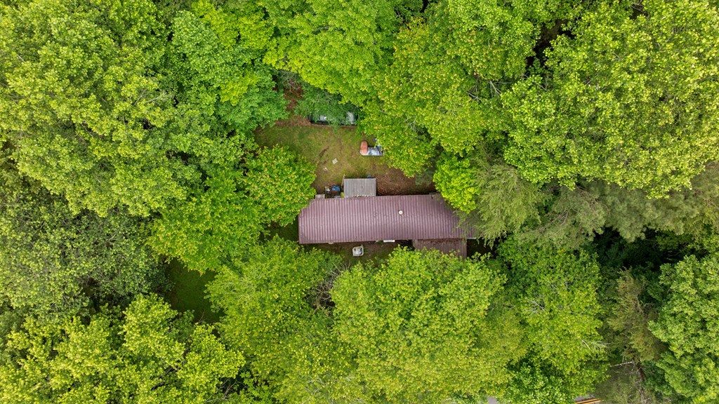 83 Licklog Road