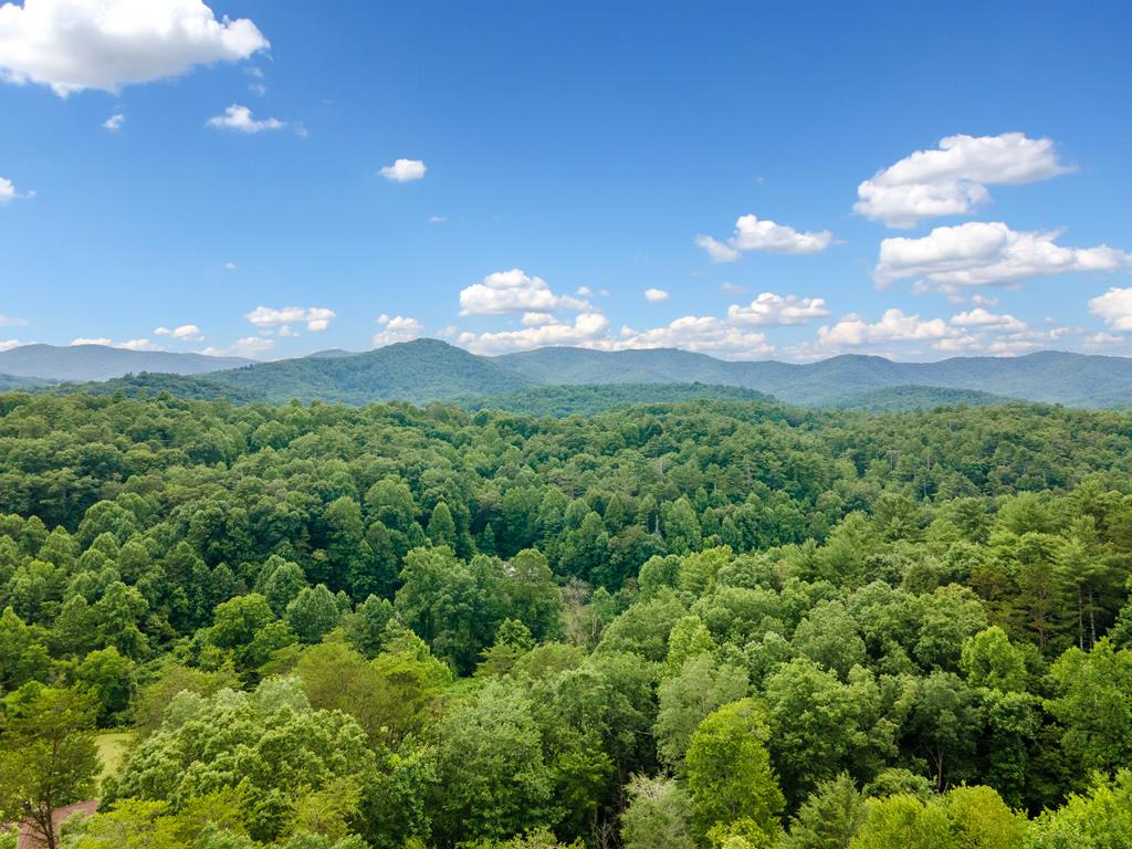 1172 Settlers Ridge Road
