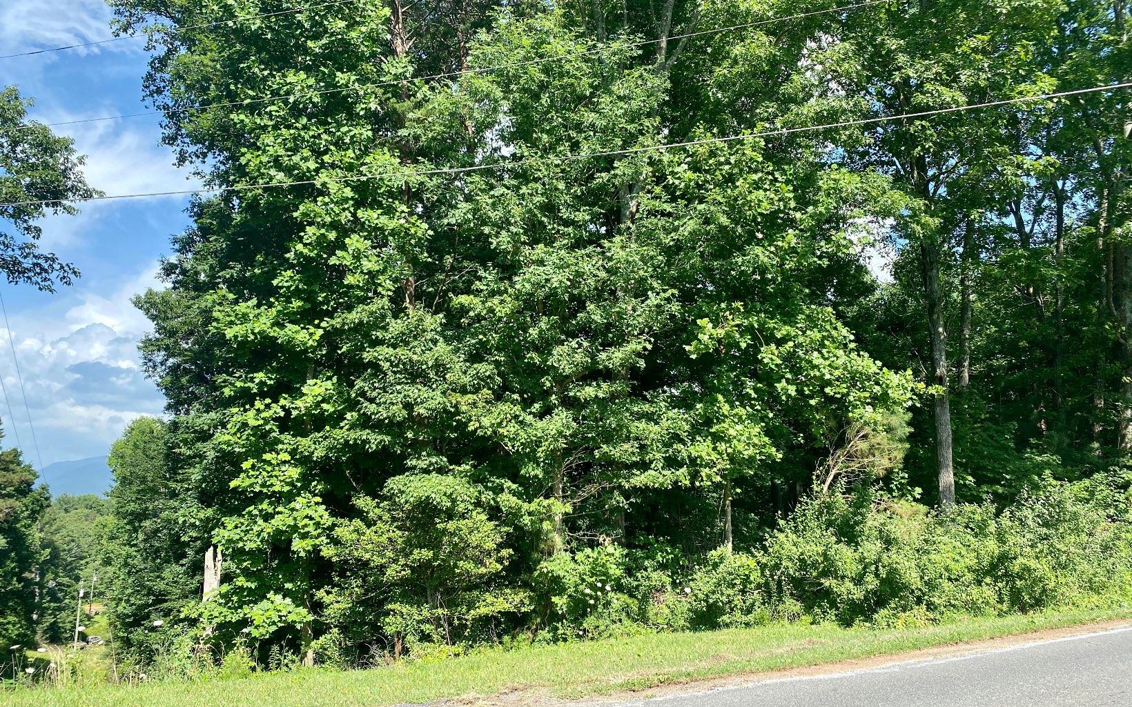 0 Flat Branch Road