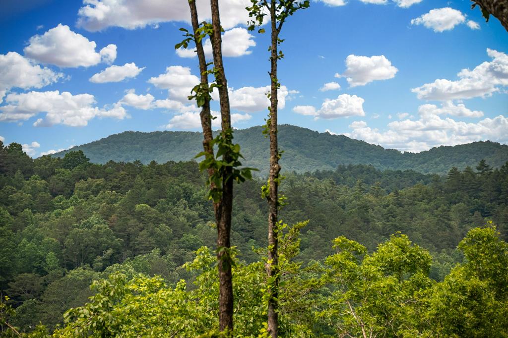 290 River Escape Drive