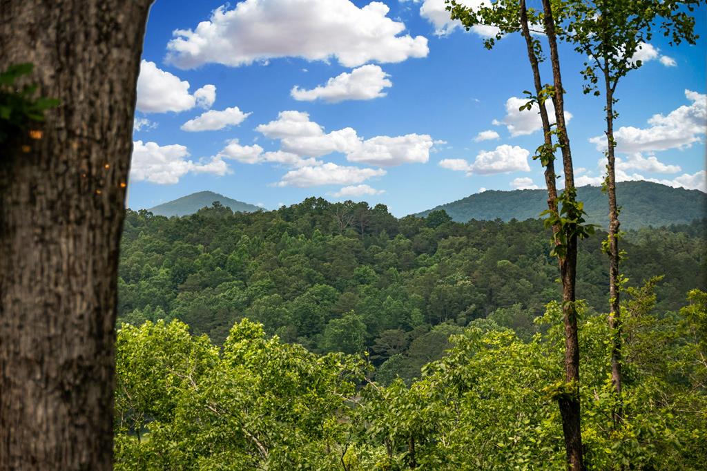 290 River Escape Drive