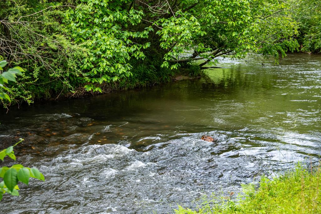 290 River Escape Drive