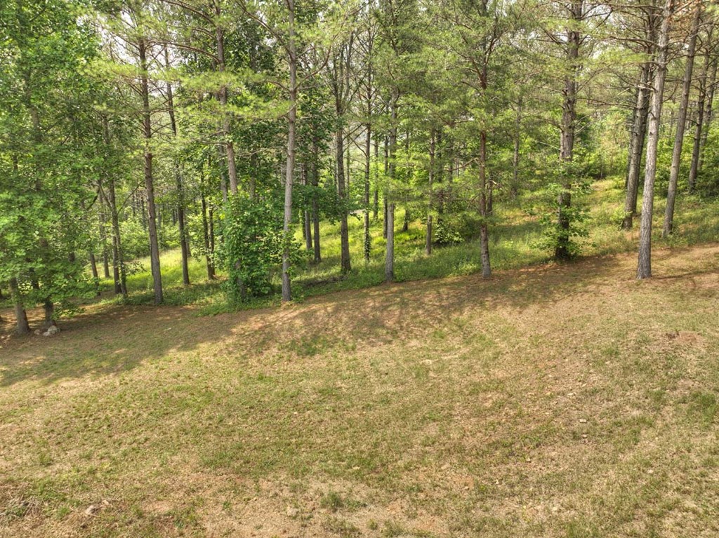Lot 31 Eastside Drive