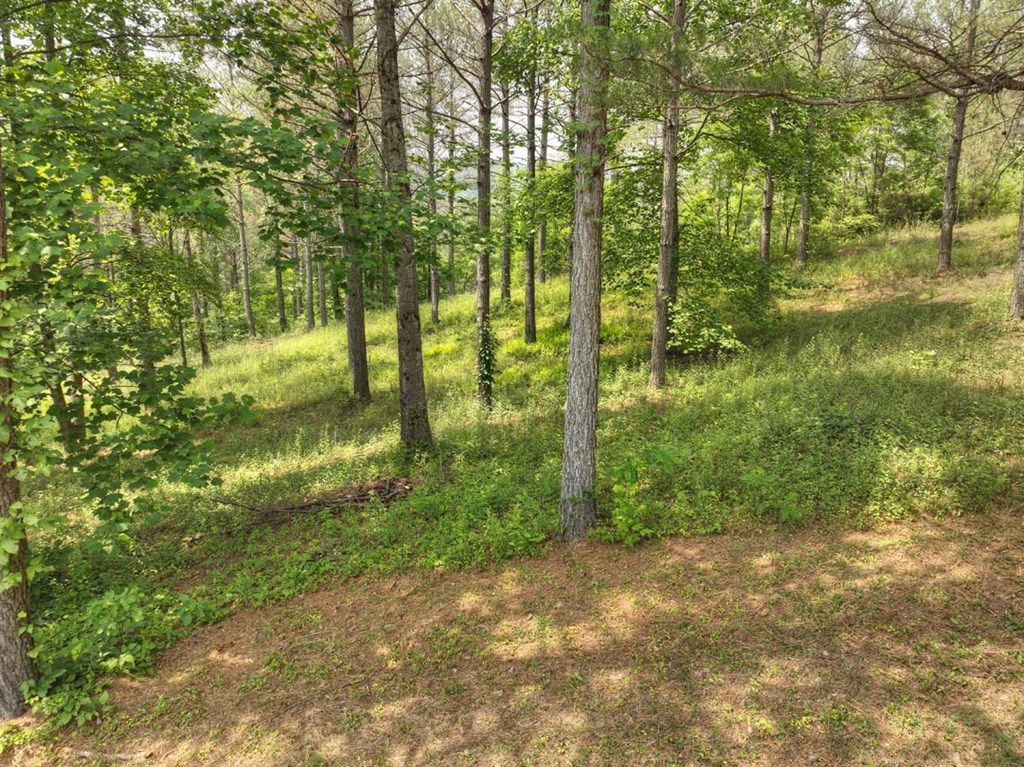 Lot 31 Eastside Drive