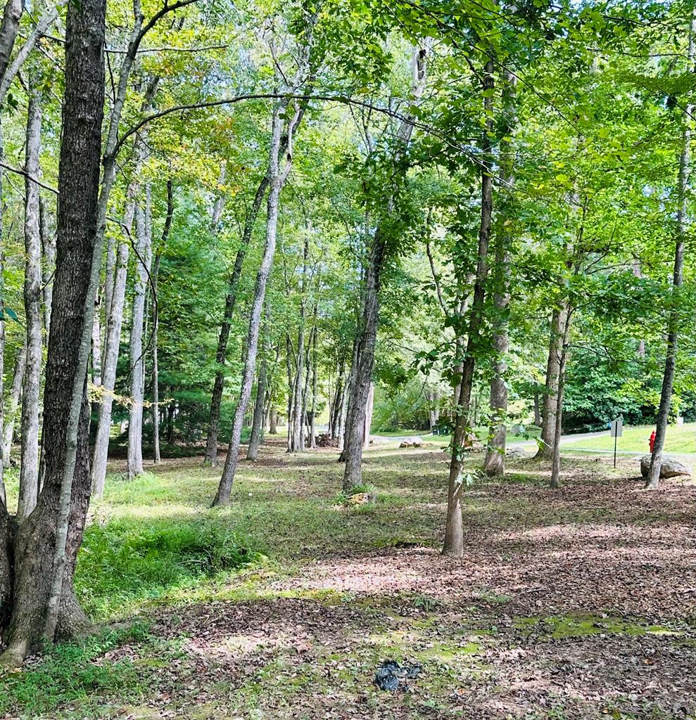 292 High Country Circle