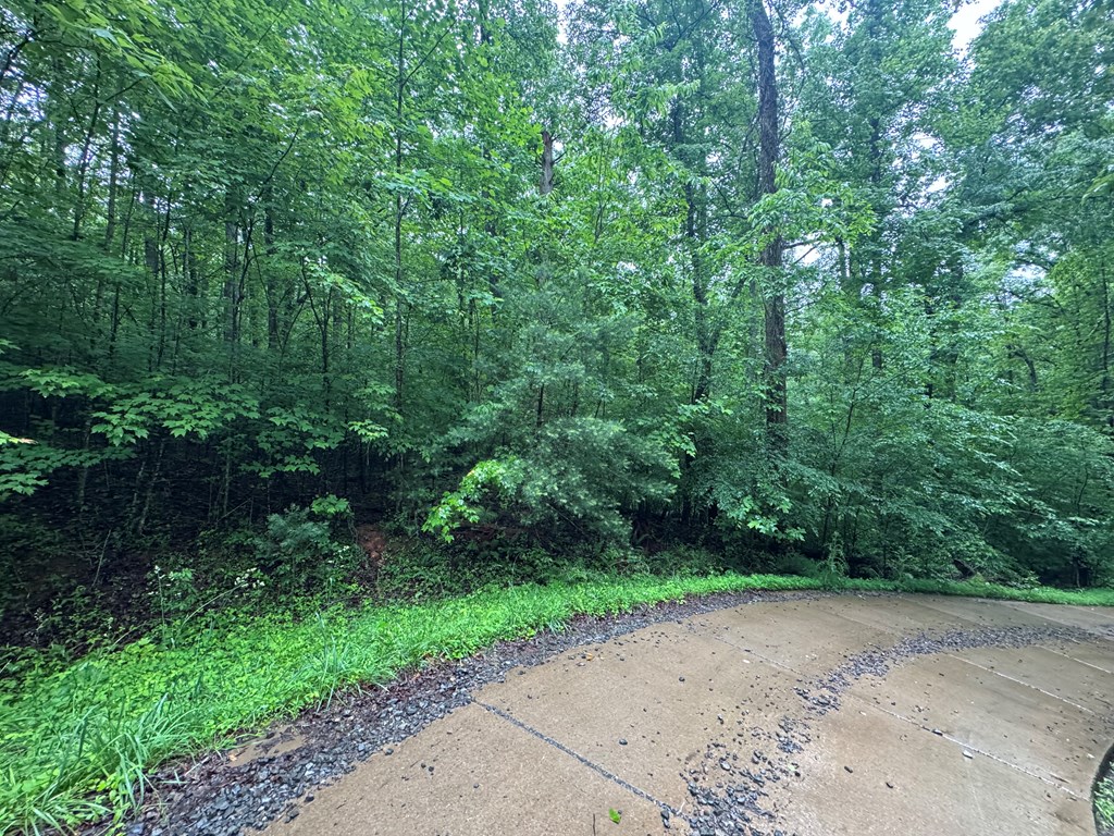1.23 AC Bear Run Circle