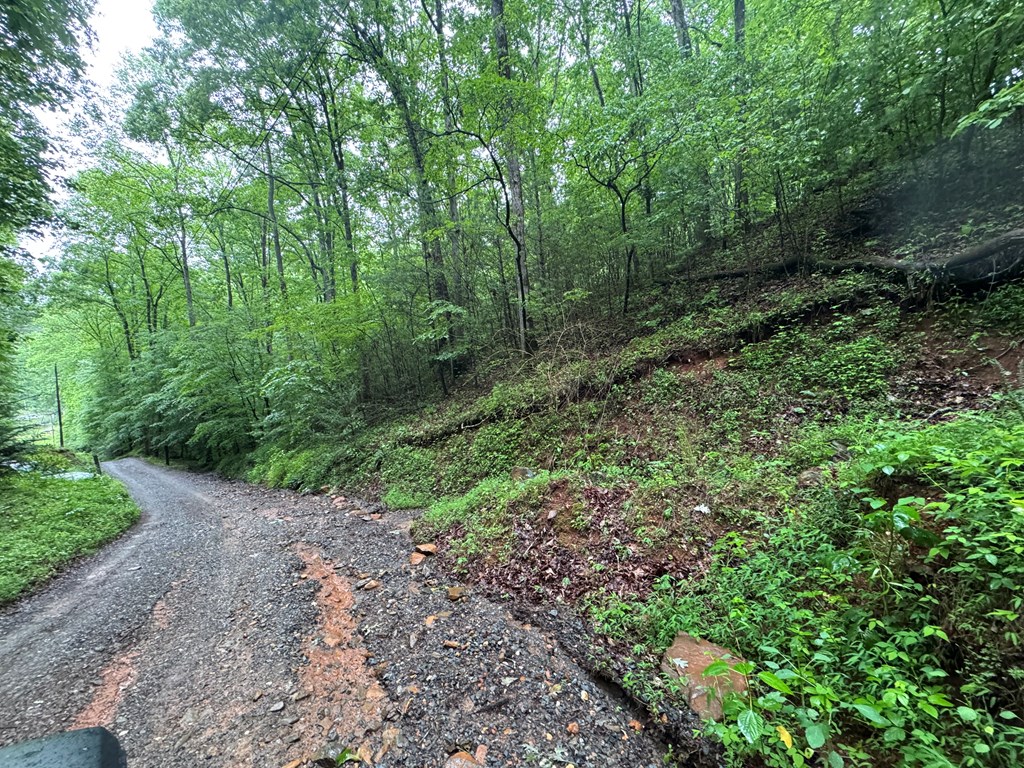 1.23 AC Bear Run Circle