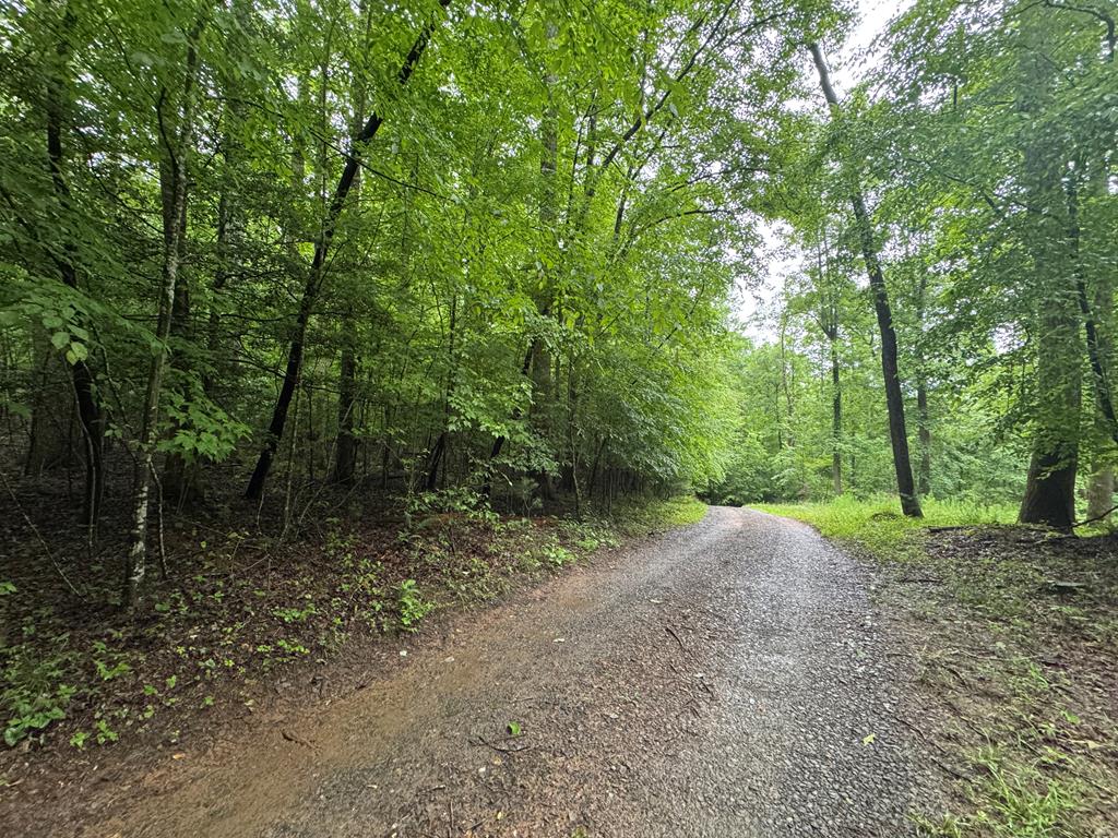 1.23 AC Bear Run Circle
